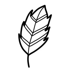simple single leaf vector illustration icon design template with doodle hand drawn outline style