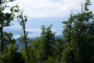 Obraz na płótnie Canvas Panoramic view over lake Zurich seen from local mountain Uetliberg on a summer day morning. Photo taken June 29th, 2021, Zurich, Switzerland.