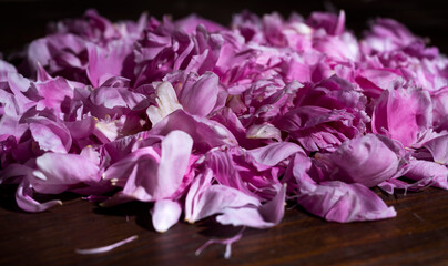 Pink peonies petals on a wooden background. Beautiful natural background