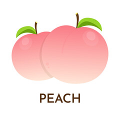 Peach vector icons set. Realistic illustration.