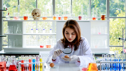 Young Asian female scientist with magnifier examining chicken egg while working at desk with flasks with colorful liquids during research in laboratory
