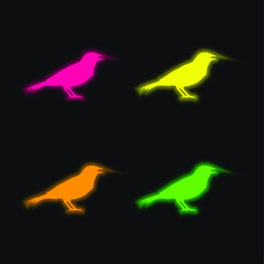 Obraz premium Anis Bird Shape four color glowing neon vector icon