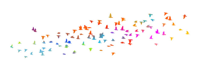 A flock of colorful birds. Vector illustration