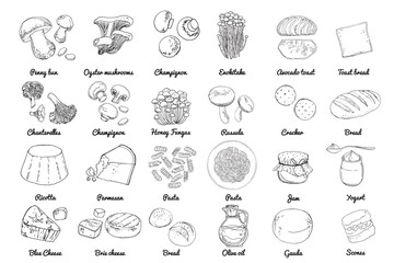 Vector food icons. Colored sketch of food products. Mushrooms, cheeses, pasta, bread, butter, yogurt