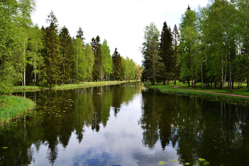 Fototapeta na wymiar Lake in the forest, trees reflection on the lake water, natural background