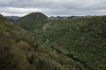 Obraz premium Pantanal, Brazil. Typical landscape in outback of Pantanal, Brasil.