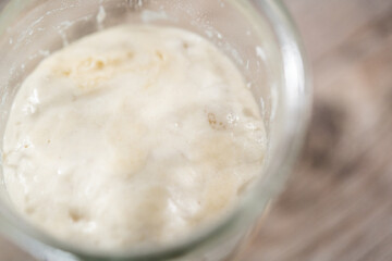 Sourdough starter