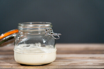 Sourdough starter