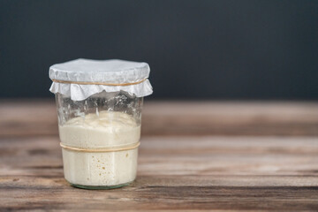 Sourdough starter