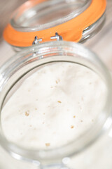 Sourdough starter