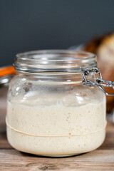 Sourdough starter