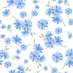 Seamless pattern of blue chicory flower. Floral background. Blossoming branch.