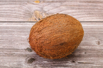 Tropical brown coconut over background
