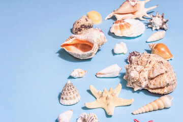 Fototapeta na wymiar Summer vacation concept. Assorted seashells on a pastel blue background