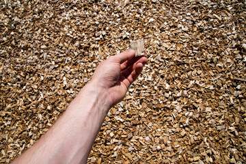 Person holding a piece of wood shaving