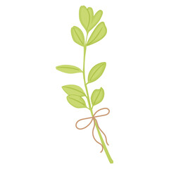 Branch with green leaves and rope. Vector illustration.