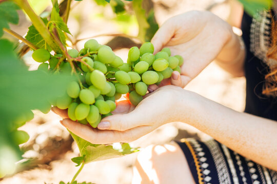 Green grapes