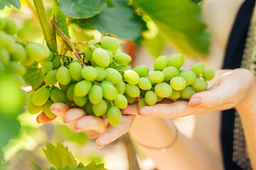 Green grapes