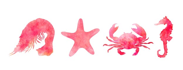 Set of aquarelle red sea animals on white background hand-drawn digital illustration: shrimp, starfish, crab, seahorse