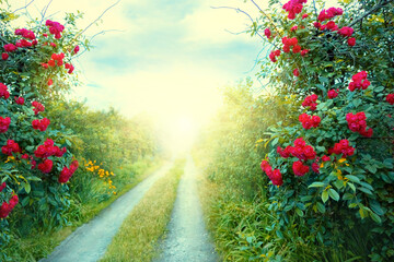 Fototapety  Fantasy art wallpaper spring nature. Summer backdrop fantasy path, mysterious dirt road, mystical world, fairytale way green grass trees, bush red roses magical light sunset. foliage garden background