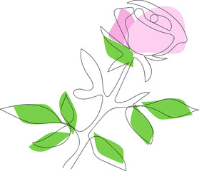 drawing of a rose in one line, flower in vector