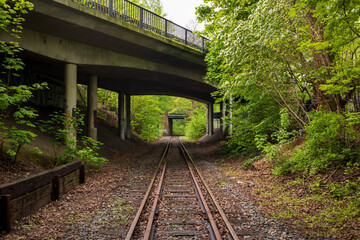 Fototapeta na wymiar old railway and bridge