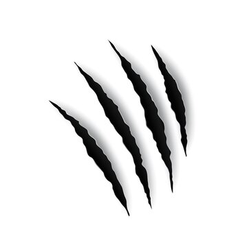 Black claws scratch. Monster, beast bite. Fight scar. (Full Vector) vector  de Stock