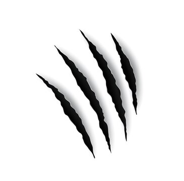 Beast Claw Marl Scratches, Tiger Or Animal Paw Nails Marks, Vector. Wild Cat Or Lion And Bear Claw Slashes, Monster Beast Or Werewolf Attack Paw Scratches And Shred Traces, Torn Paper Background