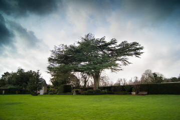 Bridge End Garden in Saffron Walden