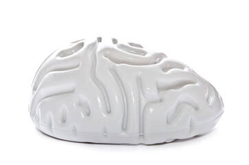 plastic brain