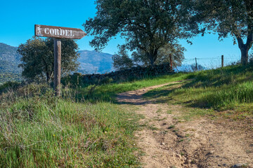 Sign made of wood that indicates the path of a cattle trail