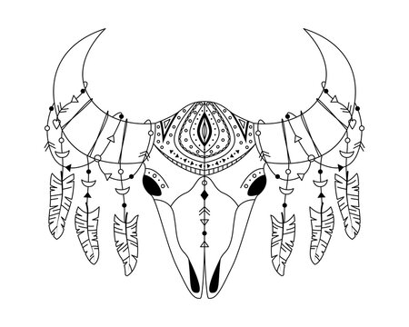 Animal skull in boho style with geometric ornaments and bird feathers. Tribal outline illustration.