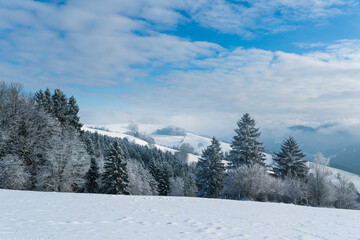Obraz premium Mostviertel in winter