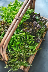 Varieties of Lettuce in Bamboo Basket