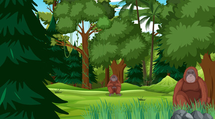 Orangutan in forest or rainforest scene with many trees