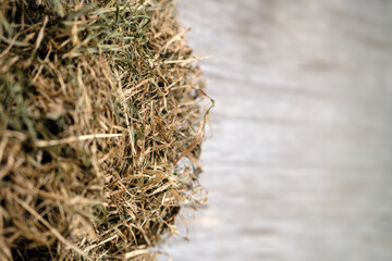 Fresh hay on a blurry wooden background. Selective focus.
