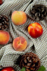 Naklejka na ściany i meble side view of fresh ripe peaches and nectarines with cones on plaid fabric background