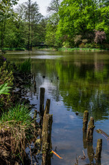 Reflection of trees in water, Palace Garden, Pszczyna, Poland