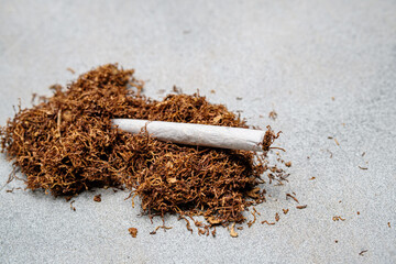Rolled cigarette and tobacco on a light gray background. Selective focus.