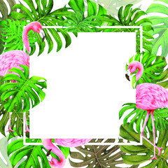 frame of flamingo and monstera,vector