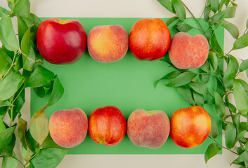 top view of fresh ripe nectarines and peaches with green leaves on green background