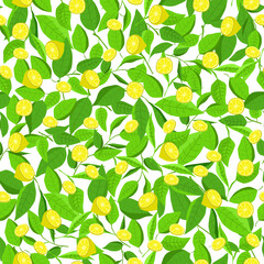 seamless vector patterns with lemons and leaves. Yellow and green lemon fresh summer ornaments for printing fabrics and packaging decoration.