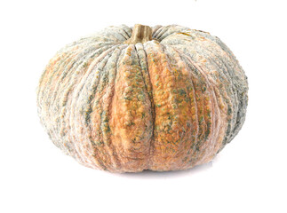 Pumpkin isolated on a white background