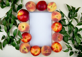 Fototapeta na wymiar top view of sketchbook and fresh ripe peach and nectarine fruits arranged around with green leaves on white background