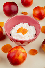 side view of cottage cheese in a bowl and fresh sweet nectarines on white background