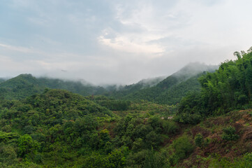 Fototapeta na wymiar Fog on the mountain after rain