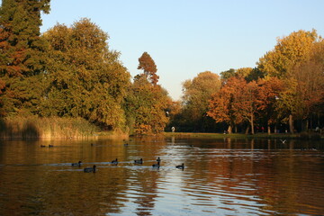 Fototapeta premium Vondelpark Amsterdam, Netherlands