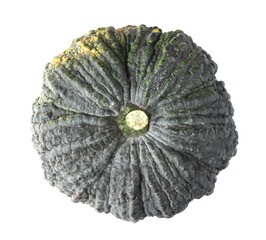 Pumpkin isolated on a white background
