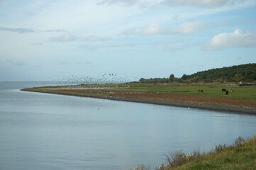 Waddendijk
