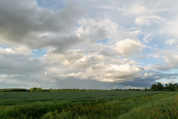 Fototapeta na wymiar Rainbow and beautiful clouds over an agricultural pasture with green grass after rain. Summer rural landscape.Horizontal photo. 